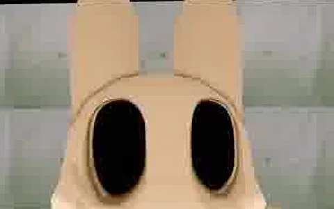 Hollow Face