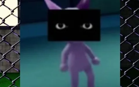 Staring at Camera
