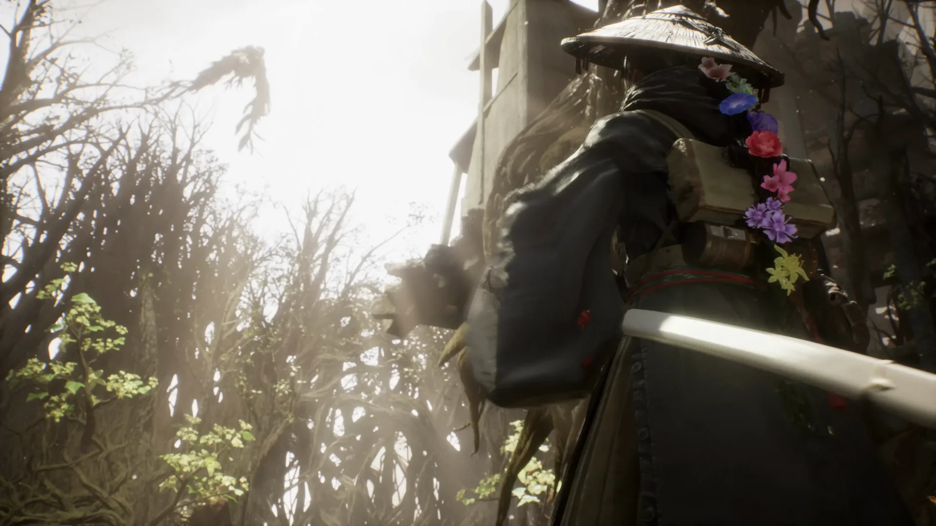Official trailer frame of a ruined landscape.