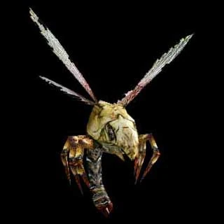 Bloodfly