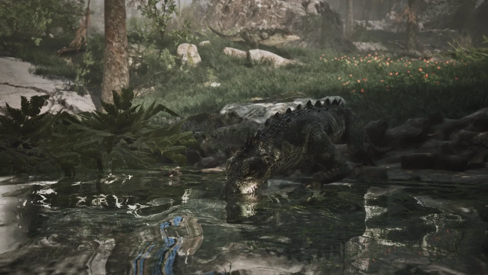 Lézard