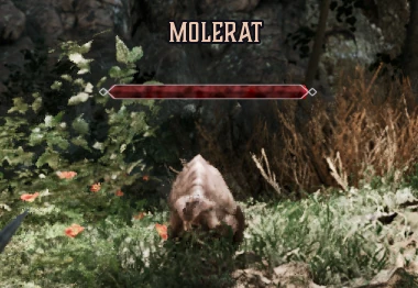 Rat-taupe