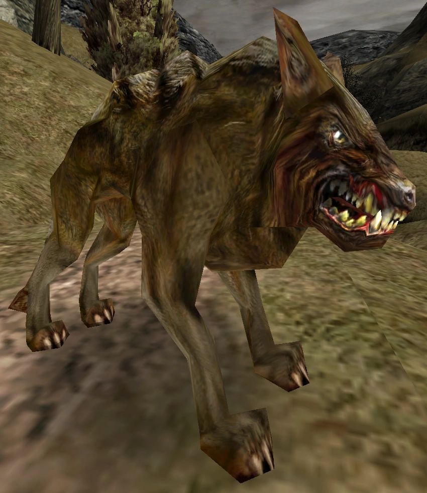 Chien orque