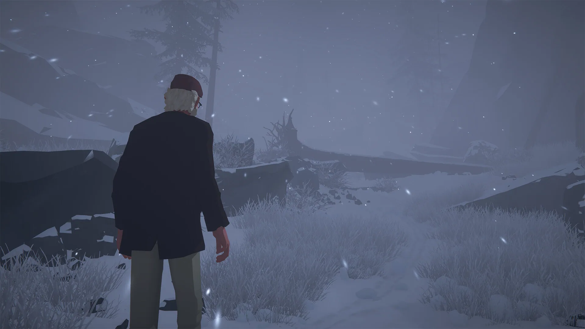 Alfred is seen from behind in a snowy pine valley.