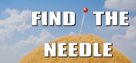 Find The Needle cover art
