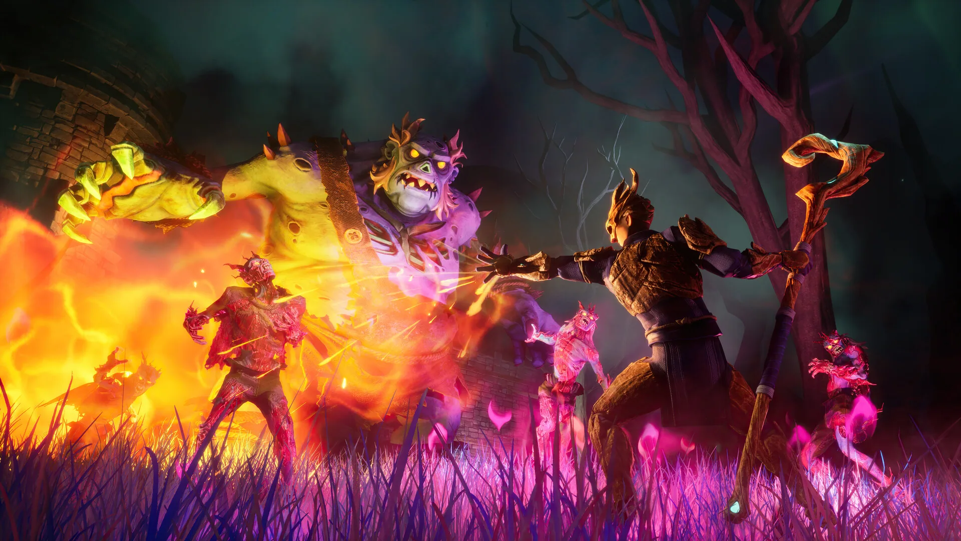 Mage fighting a zogre