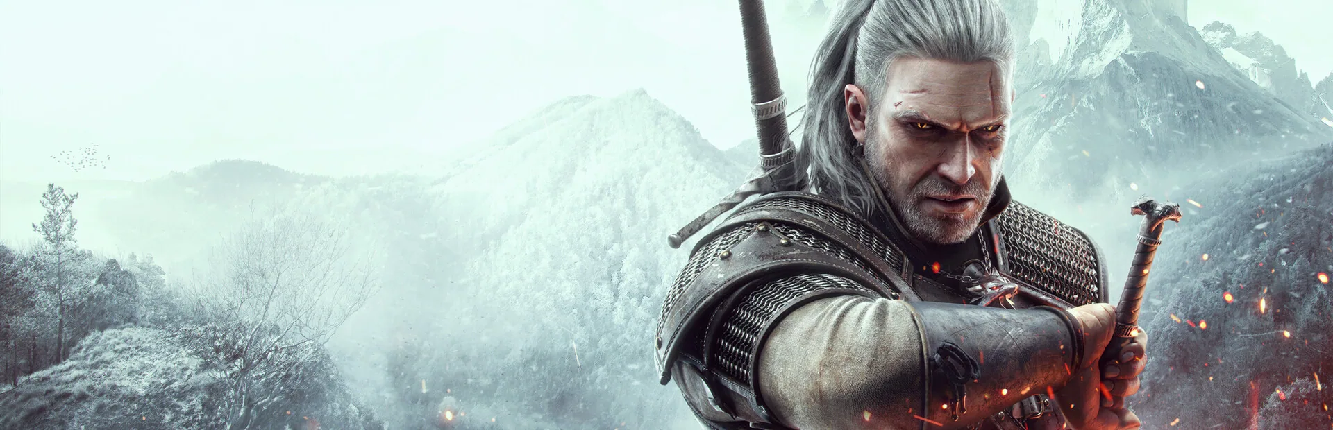 Steam library hero of The Witcher 3: Wild Hunt, wide Path landscape with Geralt.