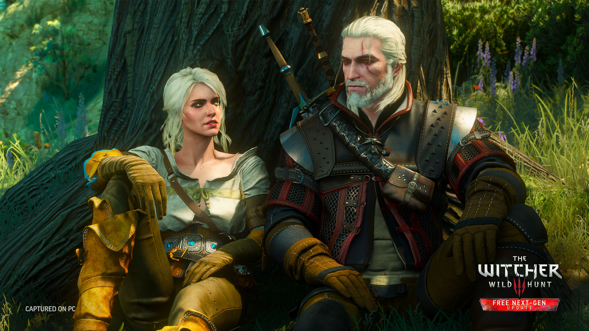 Steam screenshot captured on PC with Free Next-Gen Update badge: Ciri and Geralt sitting against a tree in a forest clearing.