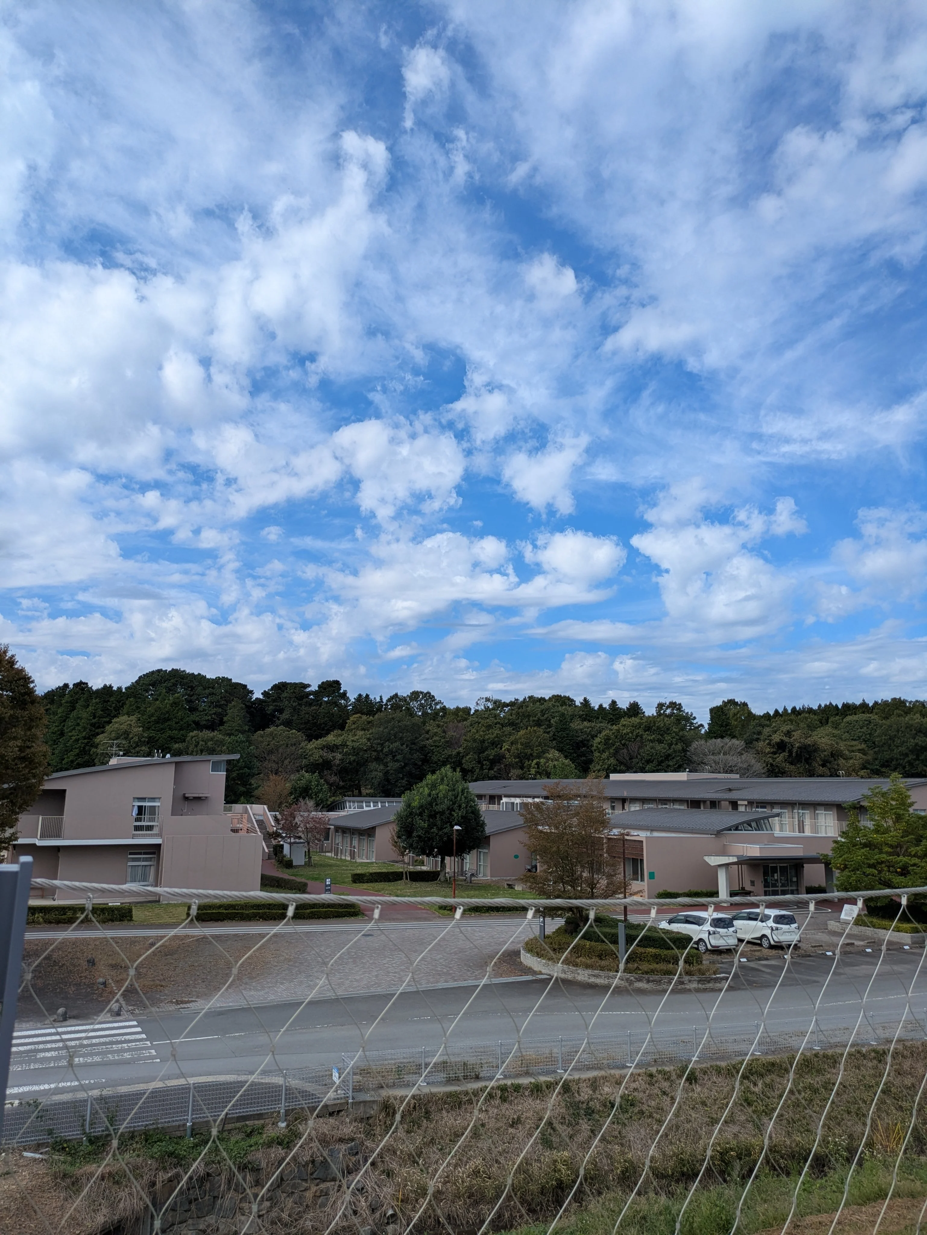 あんこうの日のX投稿メディア