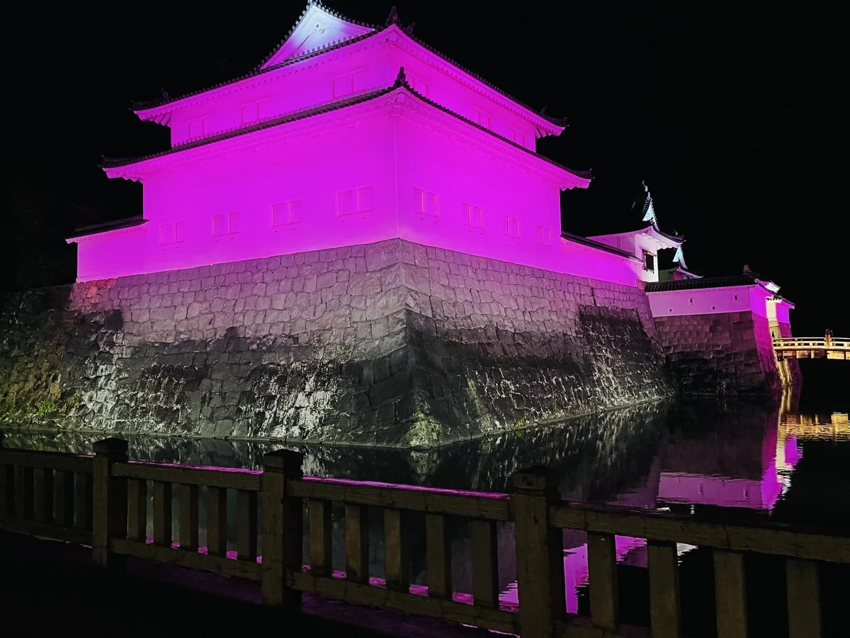 駿府城公園 巽櫓のピンクライトアップの公式紹介画像