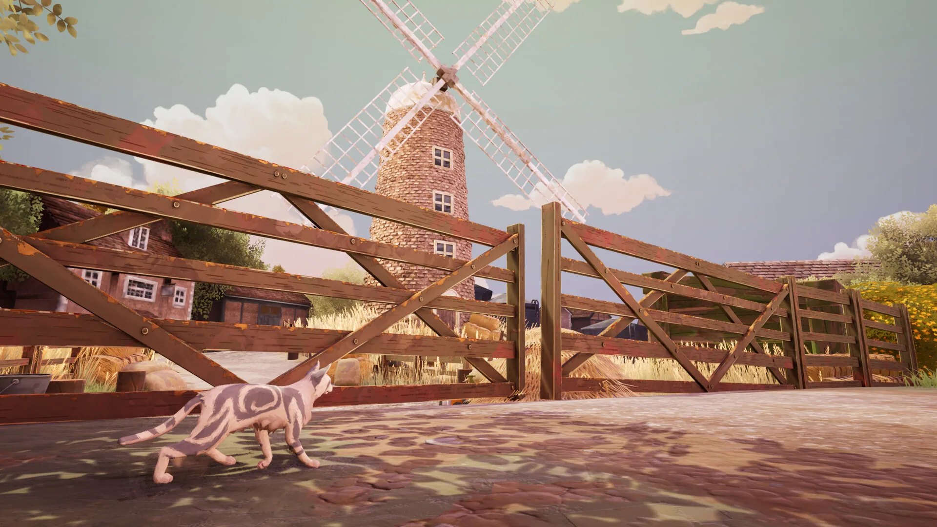 shot-3: a cat at a bright rural gate and windmill