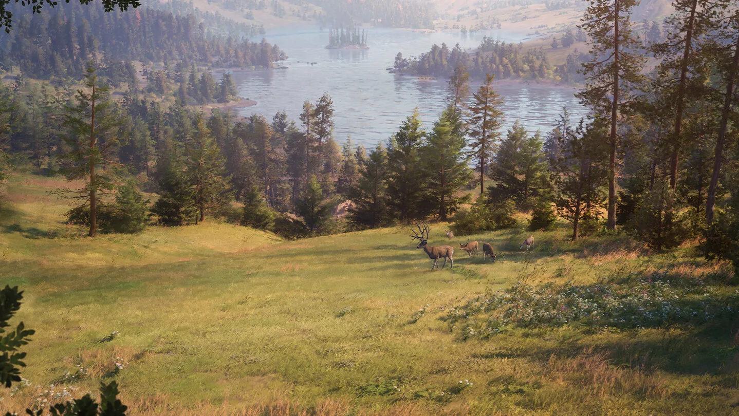 Way of the Hunter 2 store page background