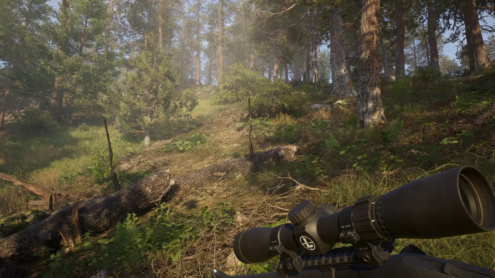 Hunter aiming across New Laurentia timber