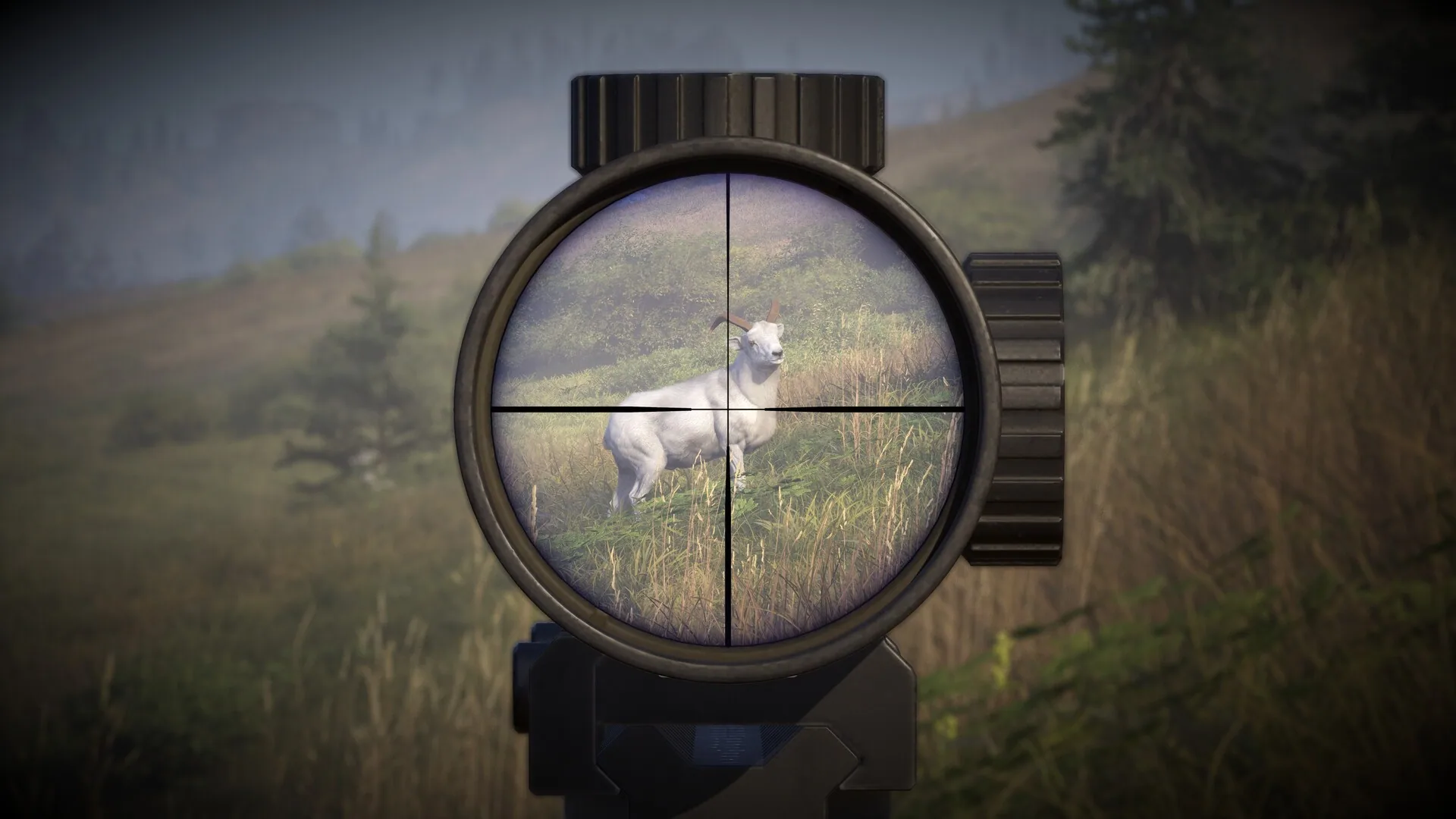 Hunting dog on a blood trail