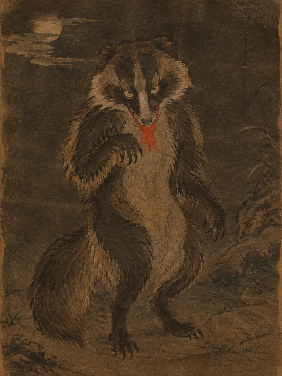 貉